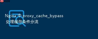 nginx 中 proxy_cache_bypass 处理缓存条件分流
