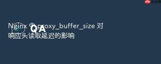 nginx 中 proxy_buffer_size 对响应头读取延迟的影响