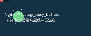 Nginx 中 fastcgi_busy_buffers_size 防止后端响应缓冲区溢出
