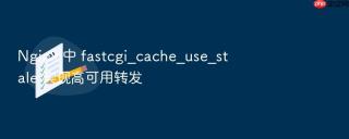 nginx 中 fastcgi_cache_use_stale 实现高可用转发