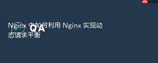 Nginx 中如何利用 Nginx 实现动态请求平衡