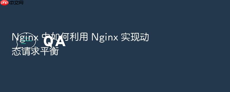 nginx 中如何利用 nginx 实现动态请求平衡