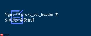 nginx 中 proxy_set_header 怎么实现头字段合并