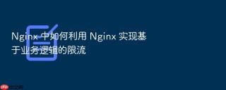 nginx 中如何利用 nginx 实现基于业务逻辑的限流