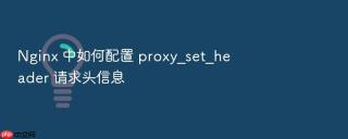 nginx 中如何配置 proxy_set_header 请求头信息