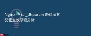 nginx 中 ssl_dhparam 路径及其配置生效原理分析