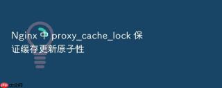 Nginx 中 proxy_cache_lock 保证缓存更新原子性