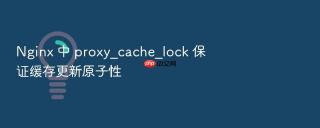 nginx 中 proxy_cache_lock 保证缓存更新原子性