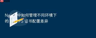 nginx 中如何管理不同环境下的 https 证书配置差异