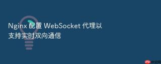 nginx 配置 websocket 代理以支持实时双向通信