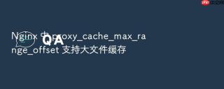 Nginx 中 proxy_cache_max_range_offset 支持大文件缓存