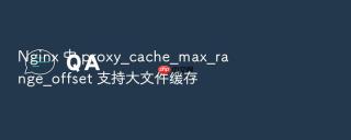 nginx 中 proxy_cache_max_range_offset 支持大文件缓存