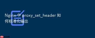 nginx 中 proxy_set_header 如何标准化输出