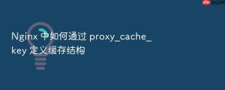nginx 中如何通过 proxy_cache_key 定义缓存结构
