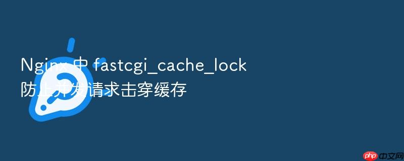 nginx 中 fastcgi_cache_lock 防止并发请求击穿缓存