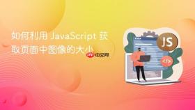 如何利用 javascript 获取页面中图像的大小