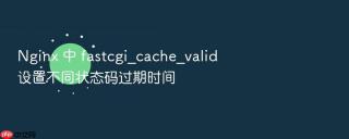 nginx 中 fastcgi_cache_valid 设置不同状态码过期时间
