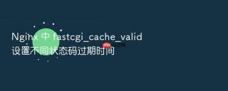 Nginx 中 fastcgi_cache_valid 设置不同状态码过期时间