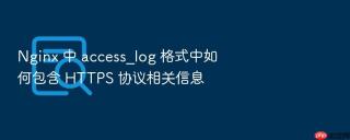 Nginx 中 access_log 格式中如何包含 HTTPS 协议相关信息