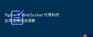 Nginx 中 WebSocket 代理如何处理连接池资源数