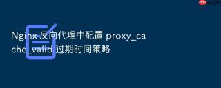 Nginx 反向代理中配置 proxy_cache_valid 过期时间策略