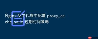 nginx 反向代理中配置 proxy_cache_valid 过期时间策略