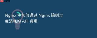 nginx 中如何通过 nginx 限制过度消耗的 api 调用