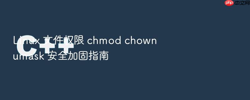 linux 文件权限 chmod chown umask 安全加固指南