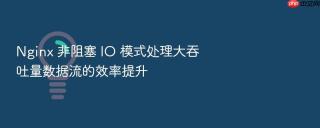 Nginx 非阻塞 IO 模式处理大吞吐量数据流的效率提升
