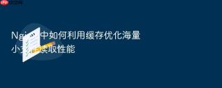 nginx 中如何利用缓存优化海量小文件读取性能