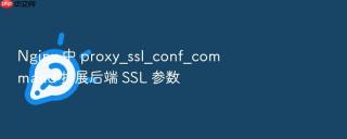 nginx 中 proxy_ssl_conf_command 扩展后端 ssl 参数
