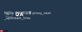 nginx 中如何设置 proxy_next_upstream_tries