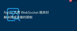 nginx 代理 websocket 服务时解决跨域连接的限制