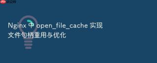 nginx 中 open_file_cache 实现文件句柄重用与优化