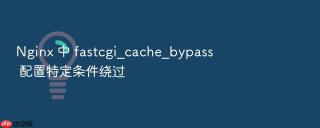 nginx 中 fastcgi_cache_bypass 配置特定条件绕过