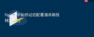 Nginx 中如何动态配置请求路径转发规则