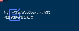 nginx 实现 websocket 代理的流量镜像与备份处理