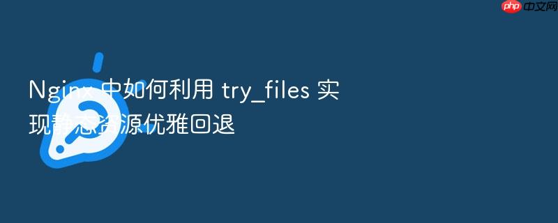nginx 中如何利用 try_files 实现静态资源优雅回退