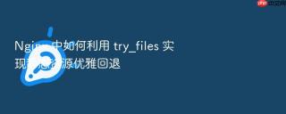 nginx 中如何利用 try_files 实现静态资源优雅回退