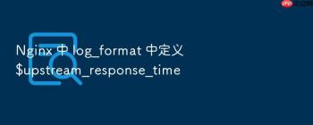 Nginx 中 log_format 中定义 $upstream_response_time