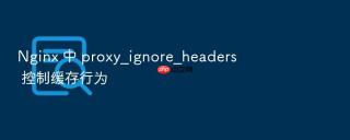 Nginx 中 proxy_ignore_headers 控制缓存行为