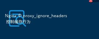 nginx 中 proxy_ignore_headers 控制缓存行为