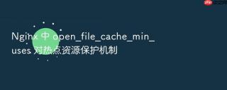 nginx 中 open_file_cache_min_uses 对热点资源保护机制