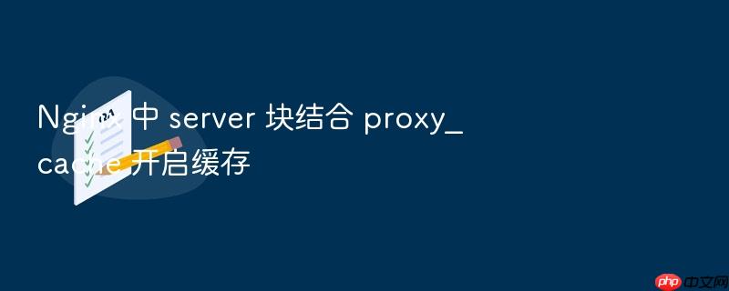 nginx 中 server 块结合 proxy_cache 开启缓存