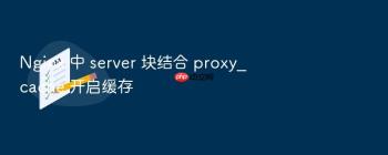 Nginx 中 server 块结合 proxy_cache 开启缓存