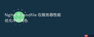 Nginx 中 sendfile 在服务器性能优化中的角色