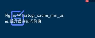 Nginx 中 fastcgi_cache_min_uses 提升缓存访问价值