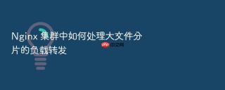 nginx 集群中如何处理大文件分片的负载转发
