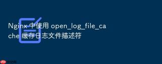 nginx 中使用 open_log_file_cache 缓存日志文件描述符