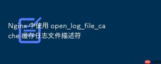Nginx 中使用 open_log_file_cache 缓存日志文件描述符